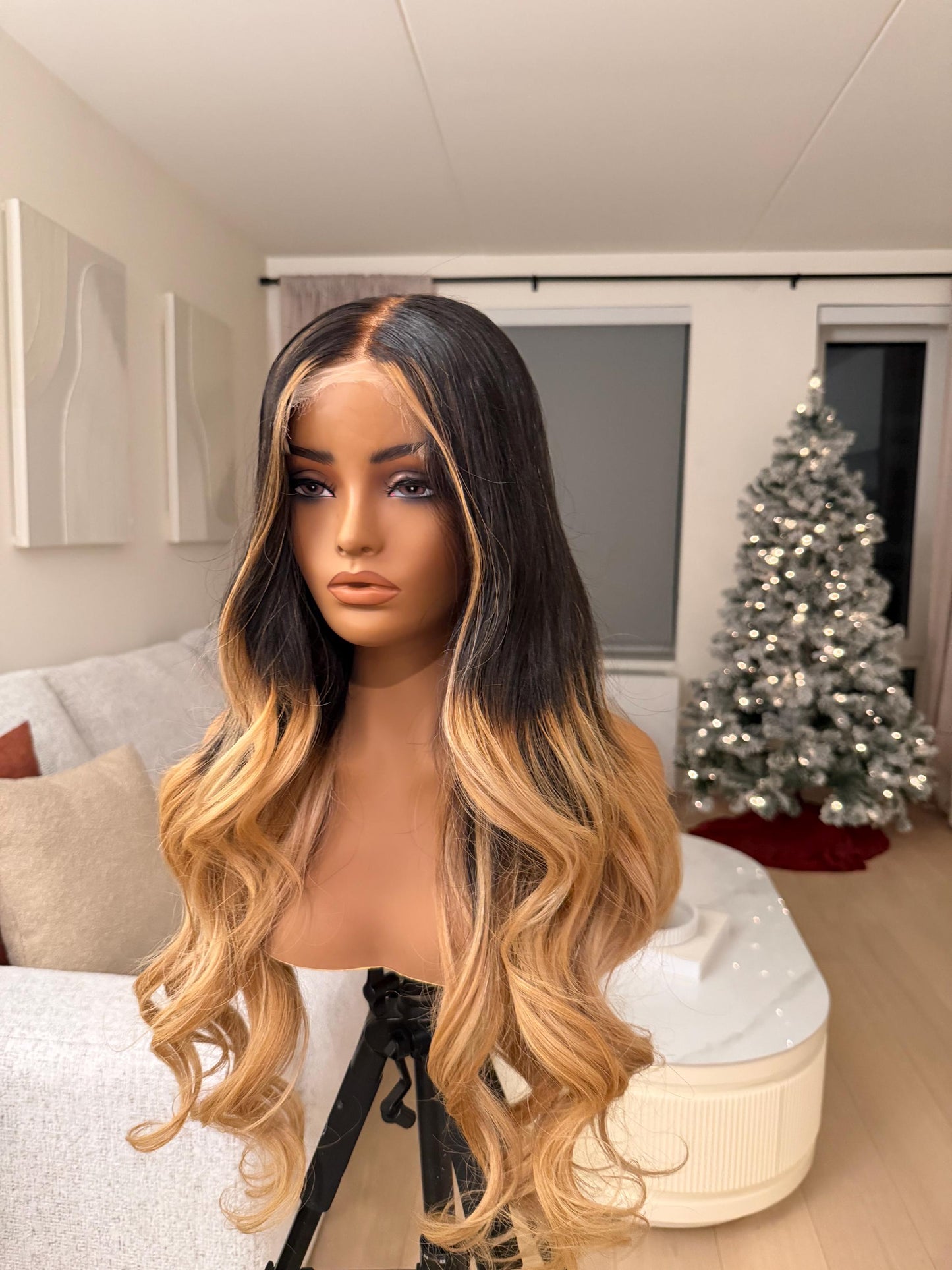 26 Inch Cambodian Raw Hair Wig | 5x5 HD Lace Closure, Ombre Highlights
